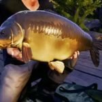 Euro Fishing Waldsee Free Download
